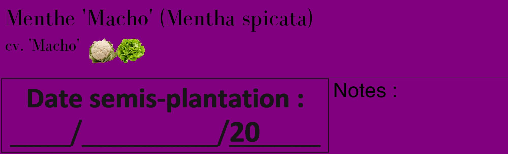 Étiquette de : Mentha spicata cv. 'Macho' - format c - style noire46_basique_basiquebod avec comestibilité simplifiée