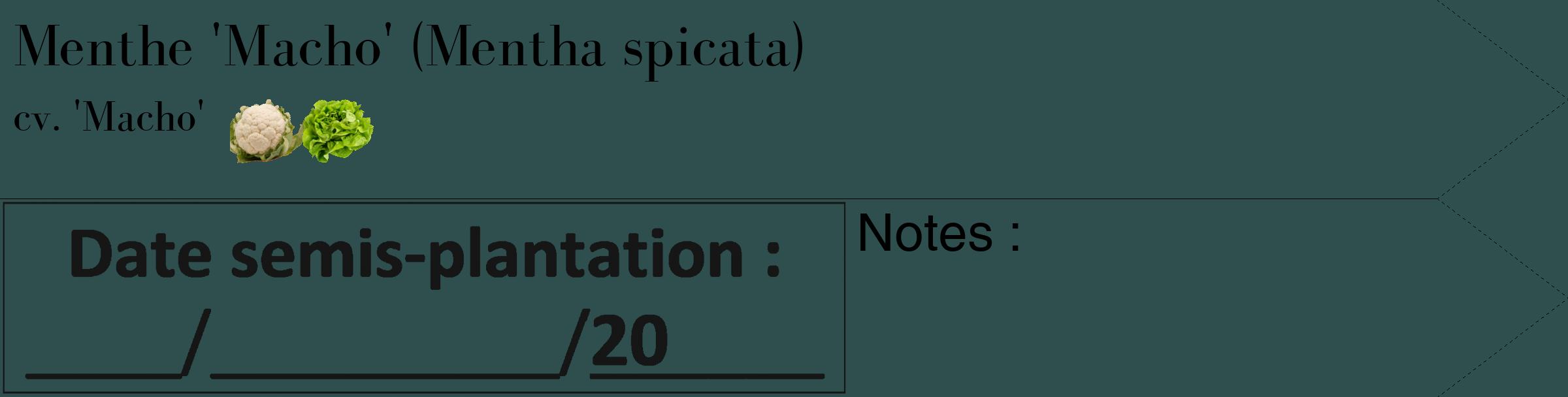 Étiquette de : Mentha spicata cv. 'Macho' - format c - style noire58_simple_simplebod avec comestibilité simplifiée