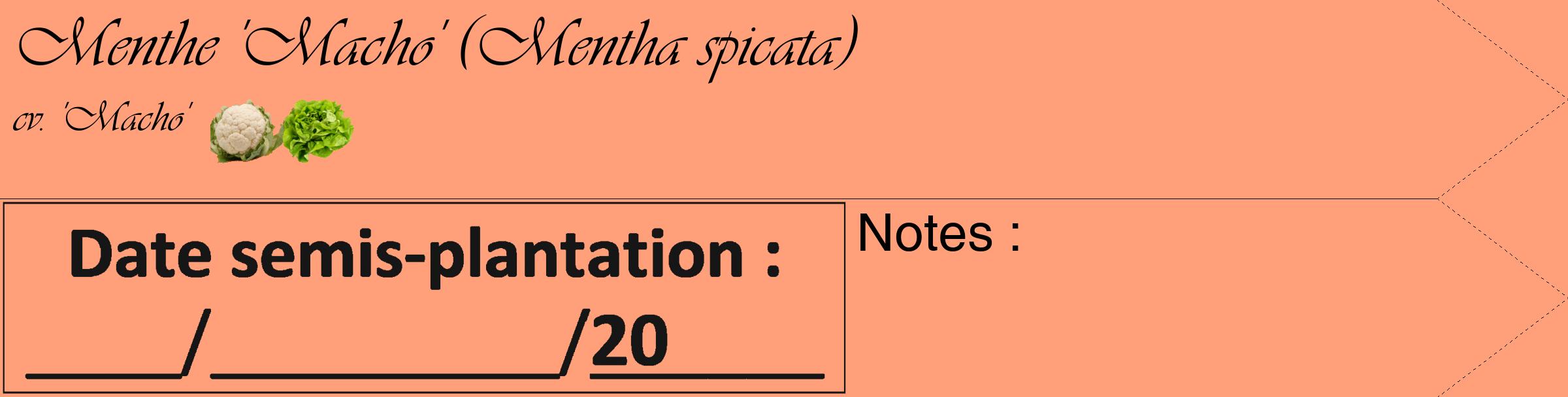 Étiquette de : Mentha spicata cv. 'Macho' - format c - style noire39_simple_simpleviv avec comestibilité simplifiée