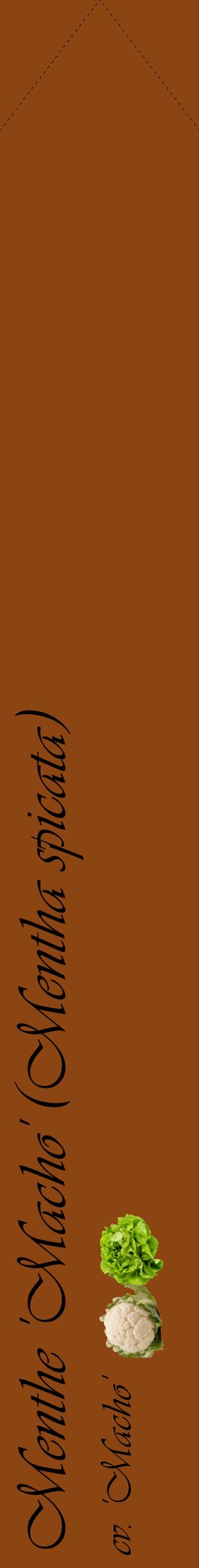 Étiquette de : Mentha spicata cv. 'Macho' - format c - style noire30_simpleviv avec comestibilité simplifiée