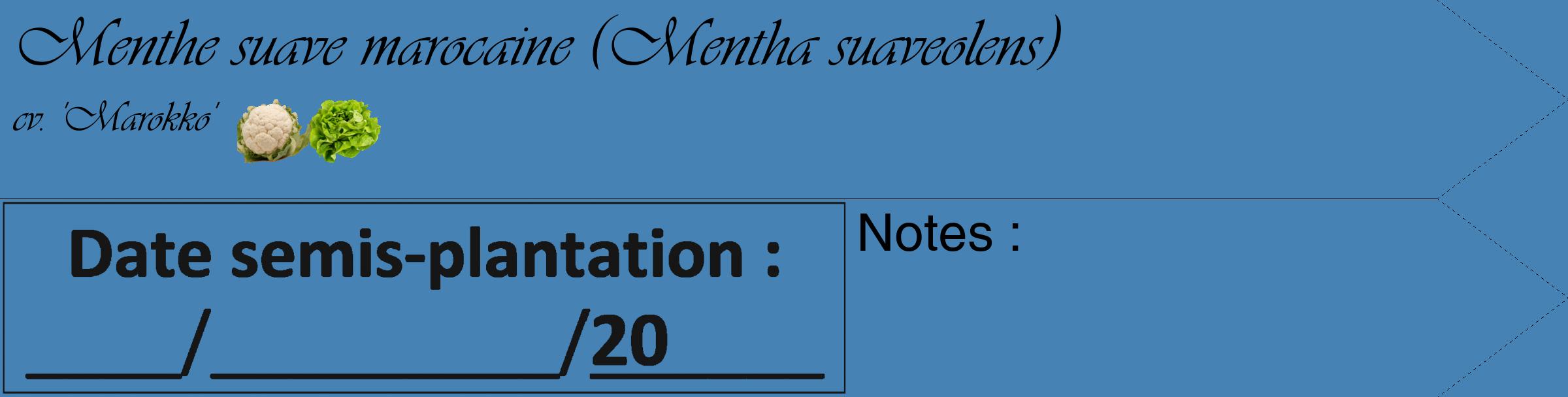 Étiquette de : Mentha suaveolens cv. 'Marokko' - format c - style noire5_simple_simpleviv avec comestibilité simplifiée