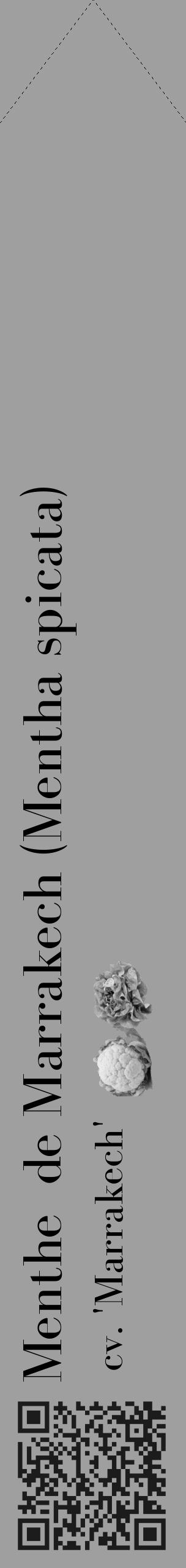Étiquette de : Mentha spicata cv. 'Marrakech' - format c - style noire24_simple_simplebod avec qrcode et comestibilité simplifiée - position verticale