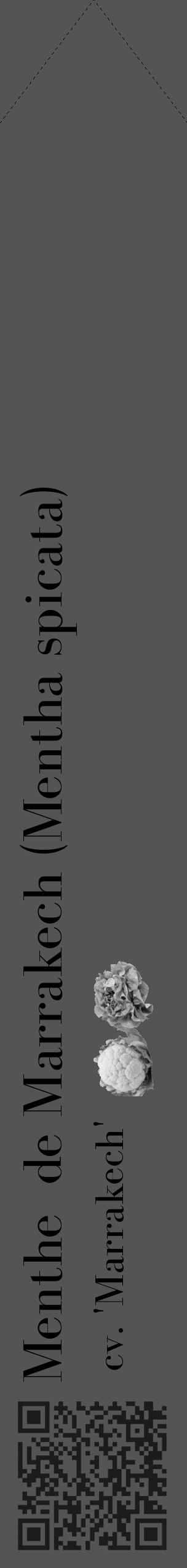 Étiquette de : Mentha spicata cv. 'Marrakech' - format c - style noire36_simple_simplebod avec qrcode et comestibilité simplifiée - position verticale