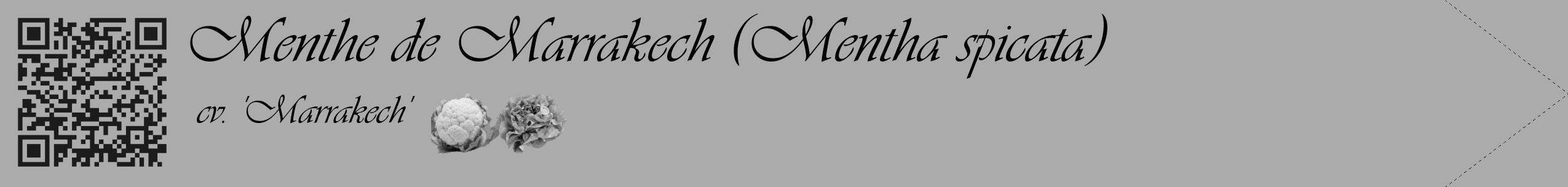 Étiquette de : Mentha spicata cv. 'Marrakech' - format c - style noire37_simple_simpleviv avec qrcode et comestibilité simplifiée