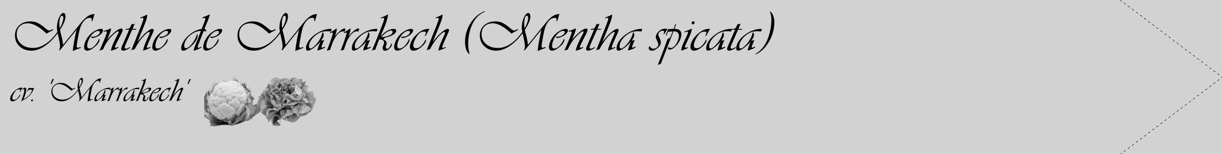 Étiquette de : Mentha spicata cv. 'Marrakech' - format c - style noire14_simple_simpleviv avec comestibilité simplifiée