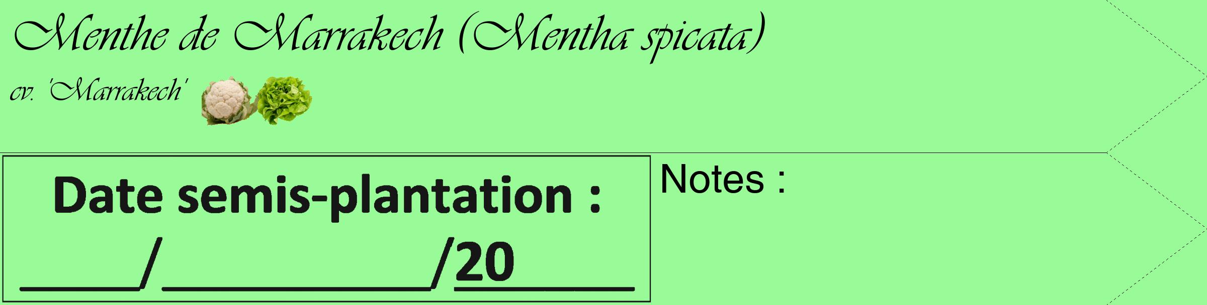 Étiquette de : Mentha spicata cv. 'Marrakech' - format c - style noire14_simple_simpleviv avec comestibilité simplifiée