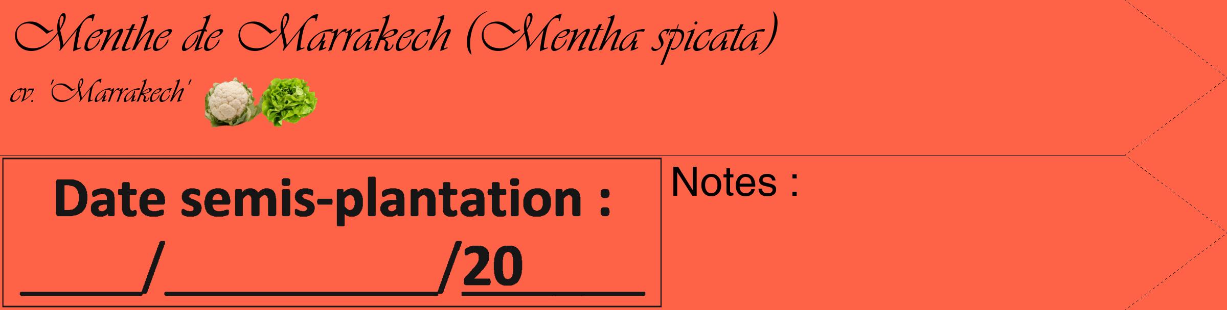 Étiquette de : Mentha spicata cv. 'Marrakech' - format c - style noire25_simple_simpleviv avec comestibilité simplifiée