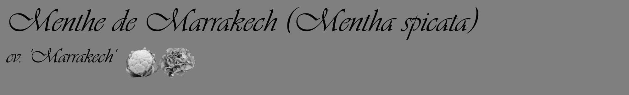 Étiquette de : Mentha spicata cv. 'Marrakech' - format c - style noire31_basique_basiqueviv avec comestibilité simplifiée