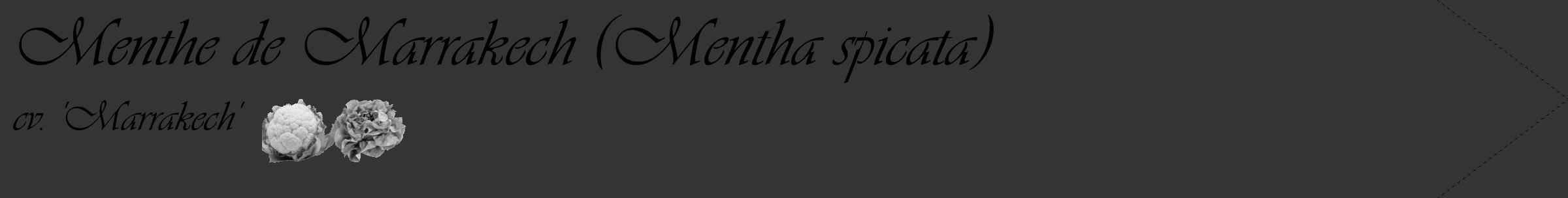 Étiquette de : Mentha spicata cv. 'Marrakech' - format c - style noire46_simple_simpleviv avec comestibilité simplifiée