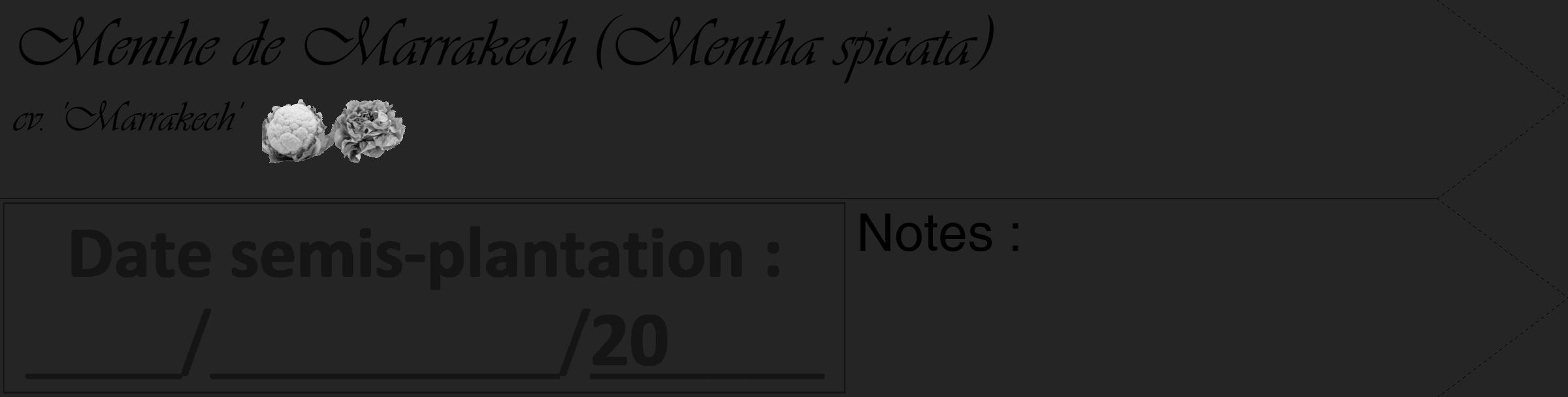 Étiquette de : Mentha spicata cv. 'Marrakech' - format c - style noire47_simple_simpleviv avec comestibilité simplifiée