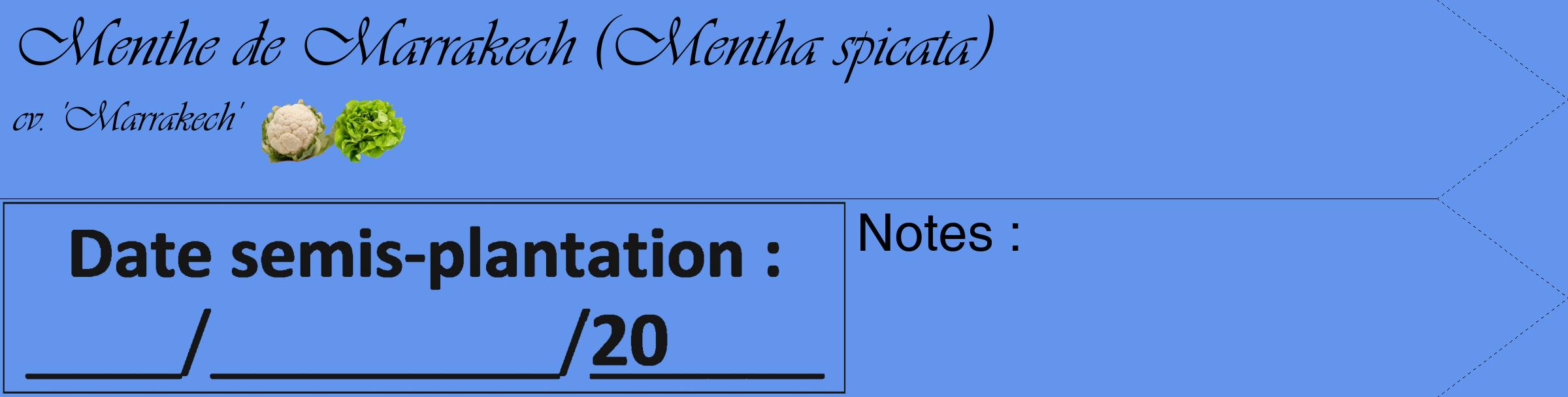 Étiquette de : Mentha spicata cv. 'Marrakech' - format c - style noire4_simple_simpleviv avec comestibilité simplifiée