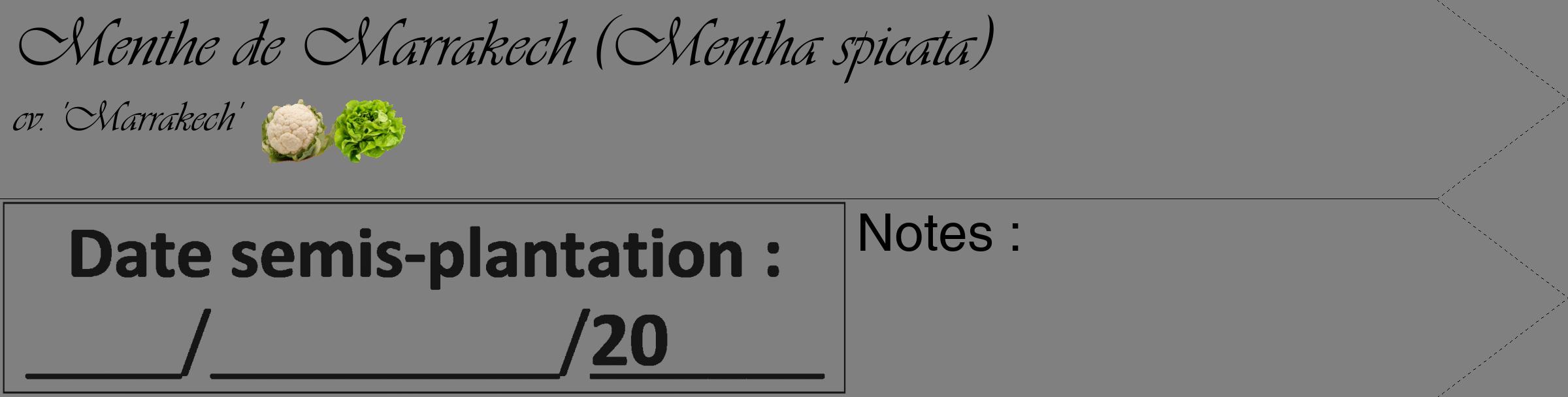 Étiquette de : Mentha spicata cv. 'Marrakech' - format c - style noire57simple_basique_basiqueviv avec comestibilité simplifiée