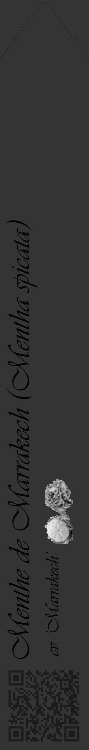 Étiquette de : Mentha spicata cv. 'Marrakech' - format c - style noire46_simple_simpleviv avec qrcode et comestibilité simplifiée - position verticale