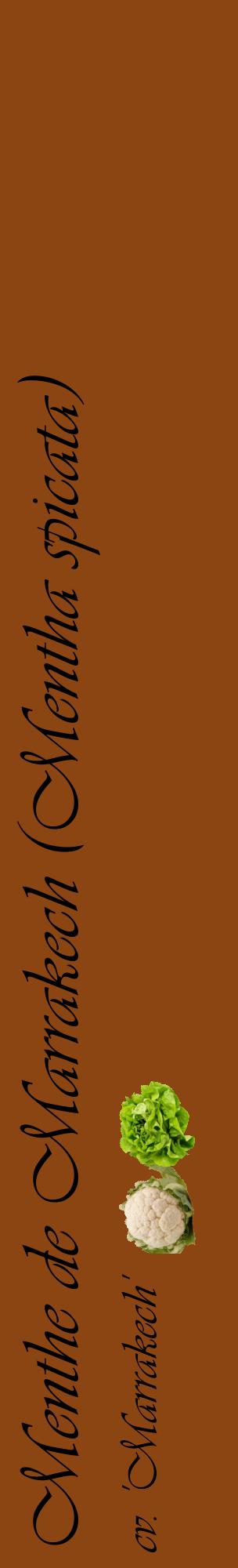 Étiquette de : Mentha spicata cv. 'Marrakech' - format c - style noire30_basiqueviv avec comestibilité simplifiée