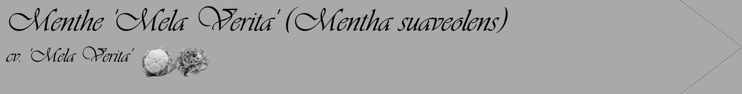 Étiquette de : Mentha suaveolens cv. 'Mela Verita' - format c - style noire13_simple_simpleviv avec comestibilité simplifiée