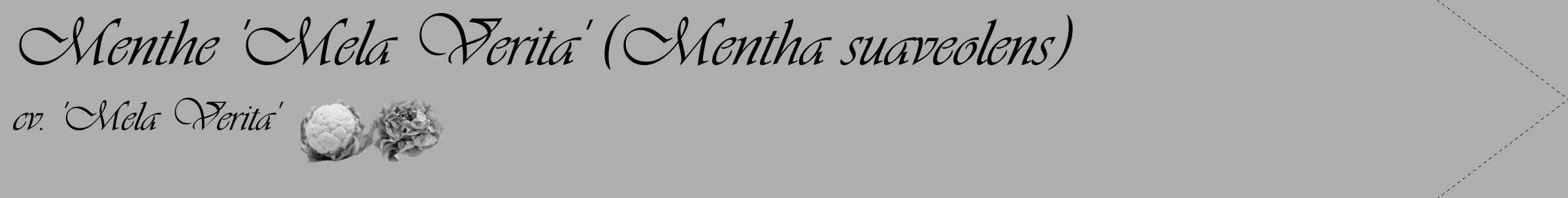Étiquette de : Mentha suaveolens cv. 'Mela Verita' - format c - style noire53_simple_simpleviv avec comestibilité simplifiée