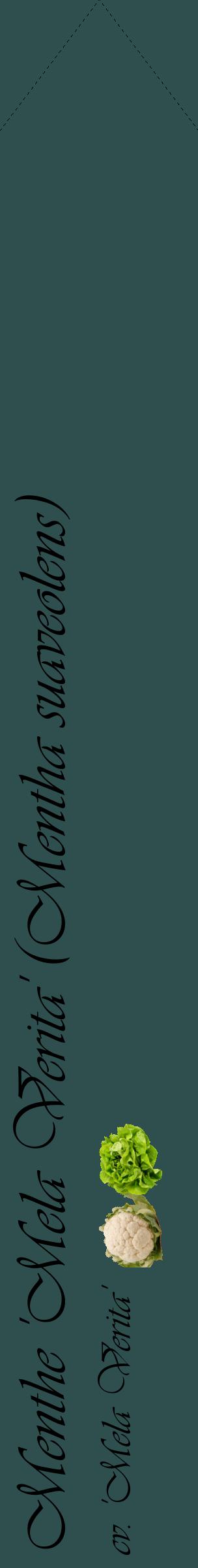 Étiquette de : Mentha suaveolens cv. 'Mela Verita' - format c - style noire58_simpleviv avec comestibilité simplifiée