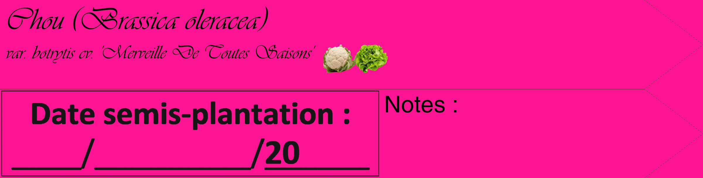 Étiquette de : Brassica oleracea var. botrytis cv. 'Merveille De Toutes Saisons' - format c - style noire43_simple_simpleviv avec comestibilité simplifiée
