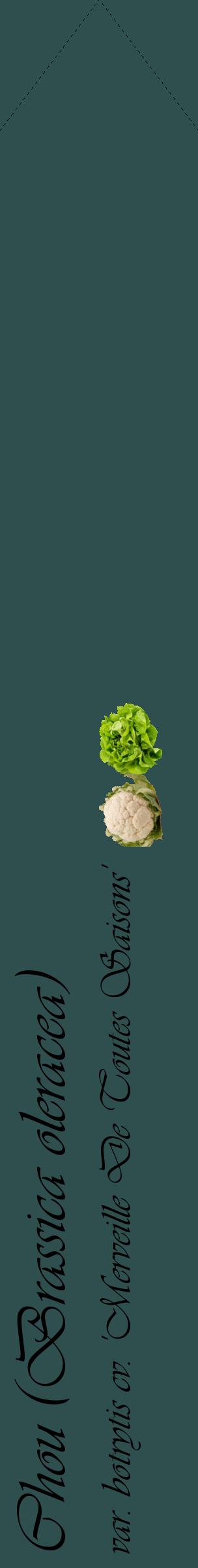 Étiquette de : Brassica oleracea var. botrytis cv. 'Merveille De Toutes Saisons' - format c - style noire58_simpleviv avec comestibilité simplifiée