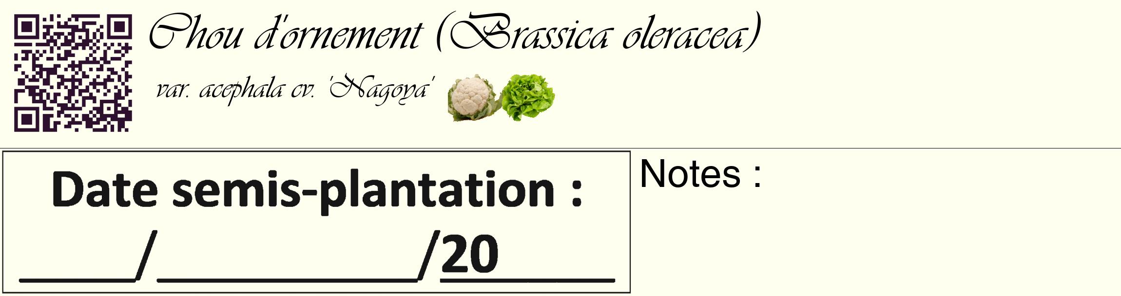 Étiquette de : Brassica oleracea var. acephala cv. 'Nagoya' - format c - style noire19basique_basique_basiqueviv avec qrcode et comestibilité simplifiée