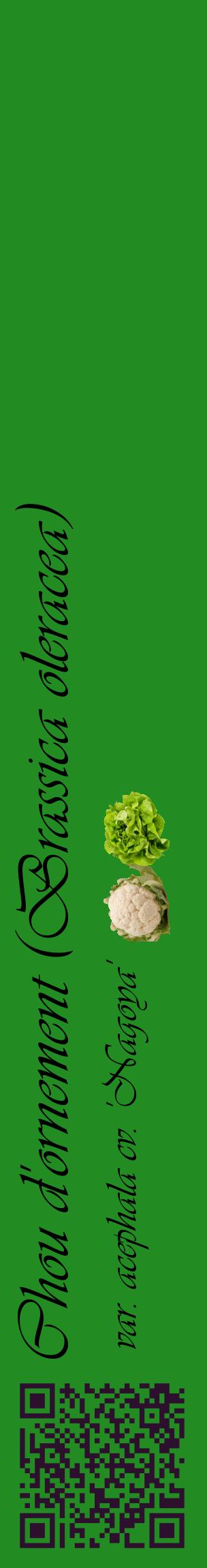 Étiquette de : Brassica oleracea var. acephala cv. 'Nagoya' - format c - style noire10_basiqueviv avec qrcode et comestibilité simplifiée