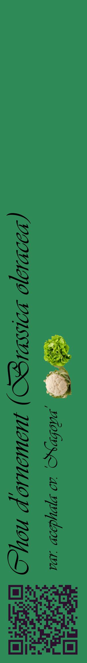 Étiquette de : Brassica oleracea var. acephala cv. 'Nagoya' - format c - style noire11_basiqueviv avec qrcode et comestibilité simplifiée