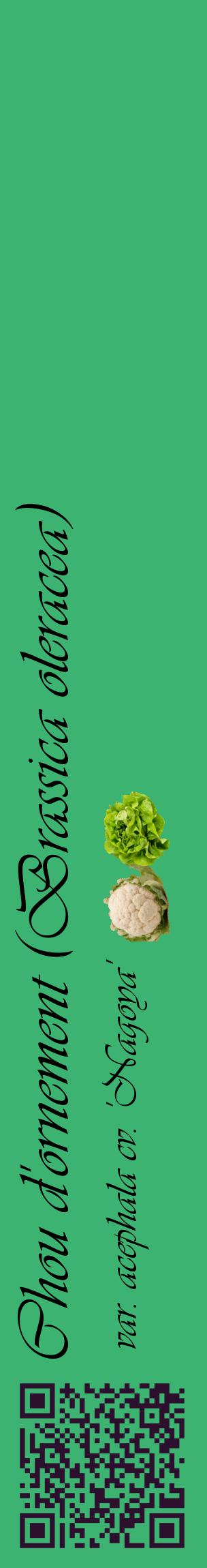Étiquette de : Brassica oleracea var. acephala cv. 'Nagoya' - format c - style noire12_basiqueviv avec qrcode et comestibilité simplifiée