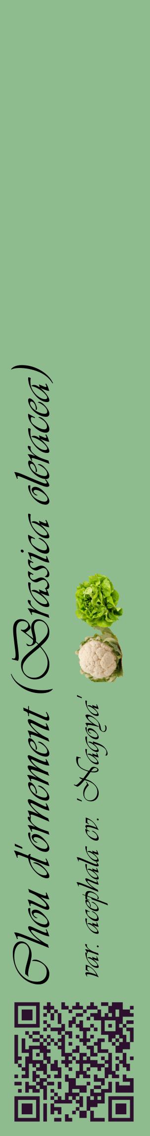 Étiquette de : Brassica oleracea var. acephala cv. 'Nagoya' - format c - style noire13_basiqueviv avec qrcode et comestibilité simplifiée