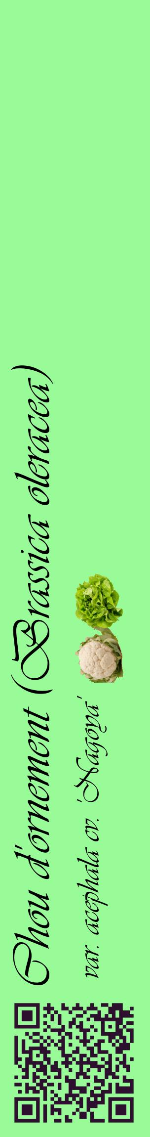 Étiquette de : Brassica oleracea var. acephala cv. 'Nagoya' - format c - style noire14_basiqueviv avec qrcode et comestibilité simplifiée