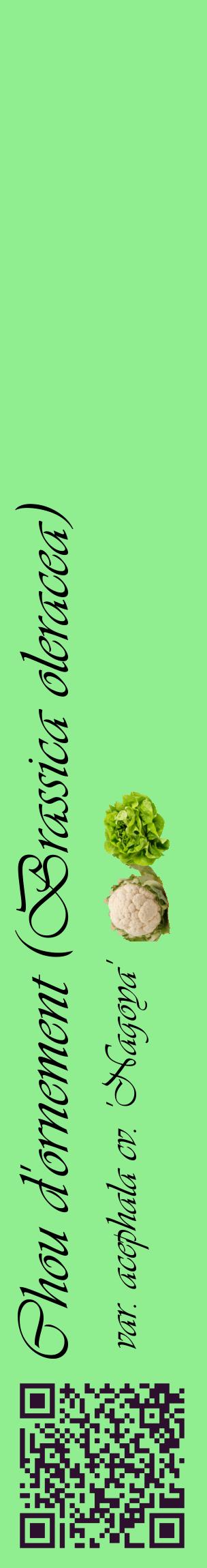 Étiquette de : Brassica oleracea var. acephala cv. 'Nagoya' - format c - style noire15_basiqueviv avec qrcode et comestibilité simplifiée