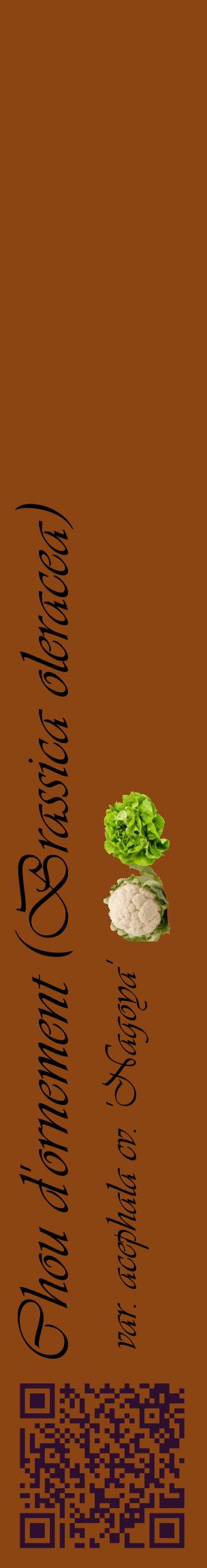 Étiquette de : Brassica oleracea var. acephala cv. 'Nagoya' - format c - style noire30_basiqueviv avec qrcode et comestibilité simplifiée