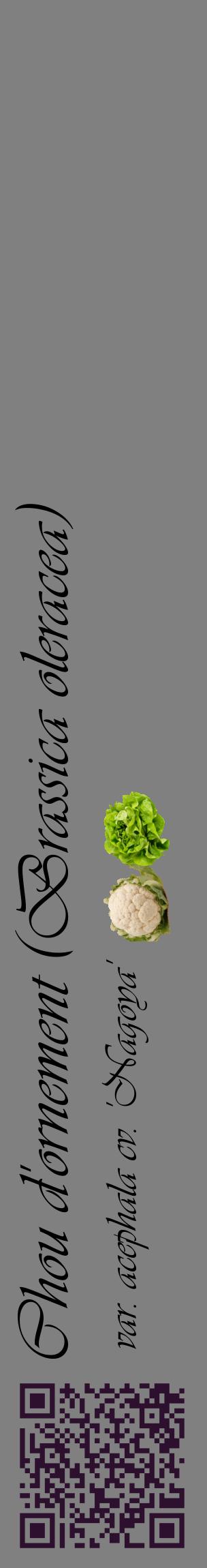 Étiquette de : Brassica oleracea var. acephala cv. 'Nagoya' - format c - style noire57_basiqueviv avec qrcode et comestibilité simplifiée