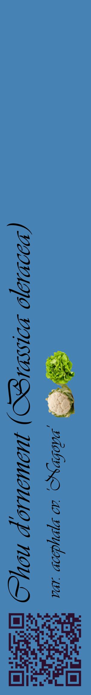Étiquette de : Brassica oleracea var. acephala cv. 'Nagoya' - format c - style noire5_basiqueviv avec qrcode et comestibilité simplifiée