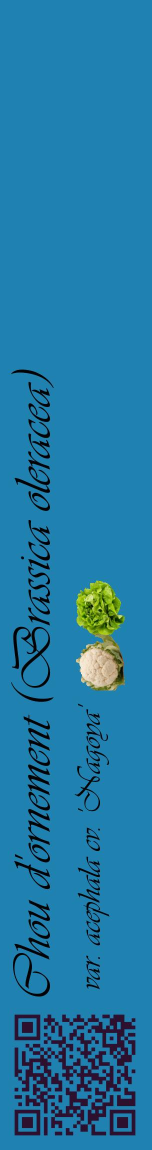 Étiquette de : Brassica oleracea var. acephala cv. 'Nagoya' - format c - style noire6_basiqueviv avec qrcode et comestibilité simplifiée