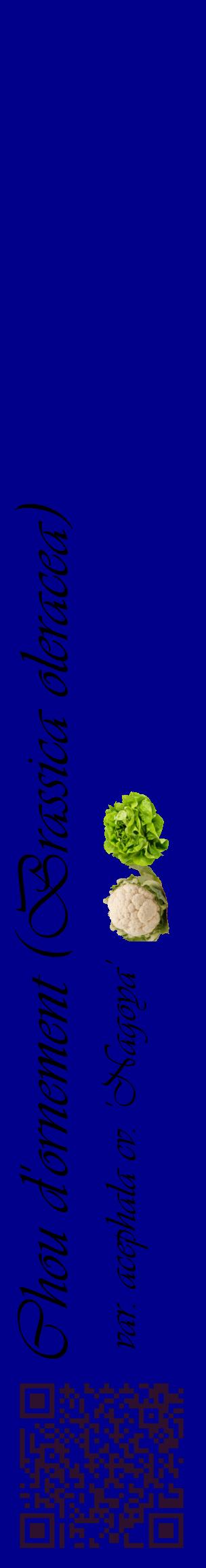 Étiquette de : Brassica oleracea var. acephala cv. 'Nagoya' - format c - style noire7_basiqueviv avec qrcode et comestibilité simplifiée