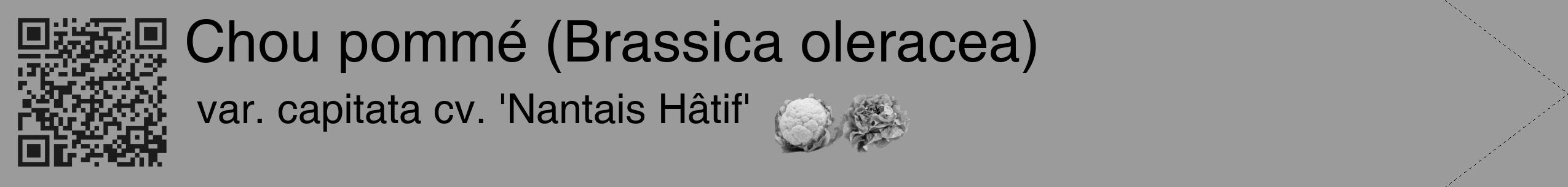 Étiquette de : Brassica oleracea var. capitata cv. 'Nantais Hâtif' - format c - style noire52_simple_simplehel avec qrcode et comestibilité simplifiée