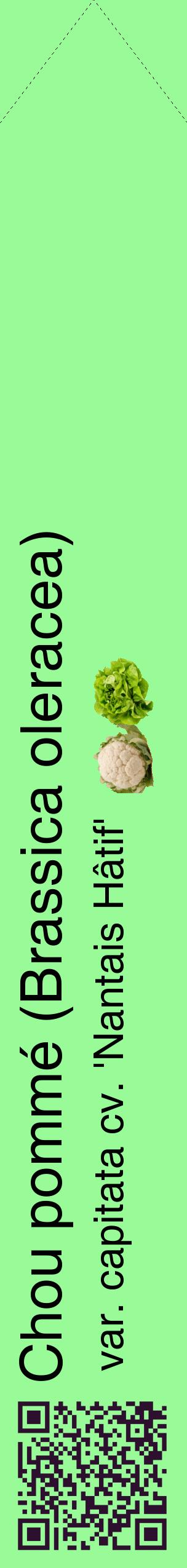 Étiquette de : Brassica oleracea var. capitata cv. 'Nantais Hâtif' - format c - style noire14_simplehel avec qrcode et comestibilité simplifiée