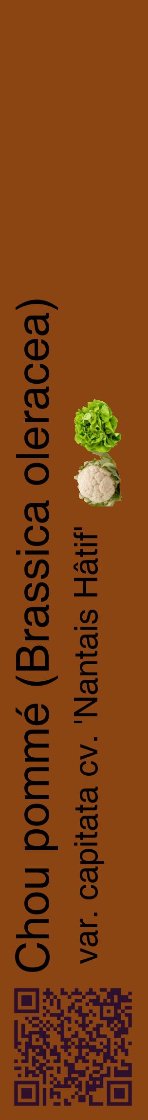 Étiquette de : Brassica oleracea var. capitata cv. 'Nantais Hâtif' - format c - style noire30_basiquehel avec qrcode et comestibilité simplifiée
