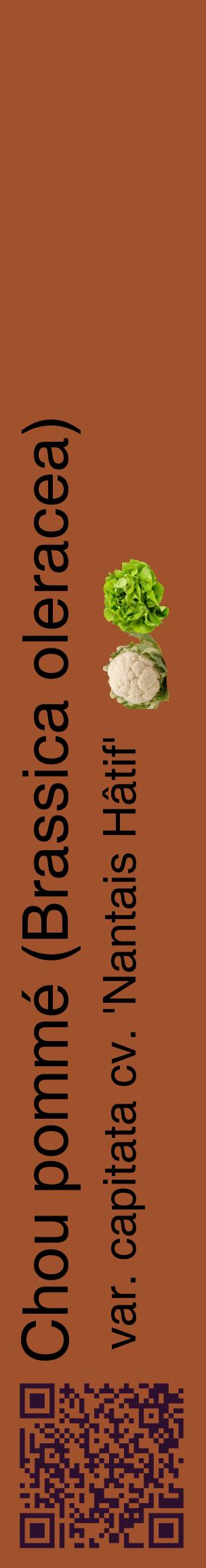 Étiquette de : Brassica oleracea var. capitata cv. 'Nantais Hâtif' - format c - style noire32_basiquehel avec qrcode et comestibilité simplifiée