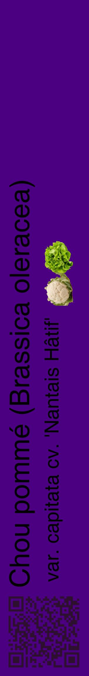 Étiquette de : Brassica oleracea var. capitata cv. 'Nantais Hâtif' - format c - style noire47_basiquehel avec qrcode et comestibilité simplifiée