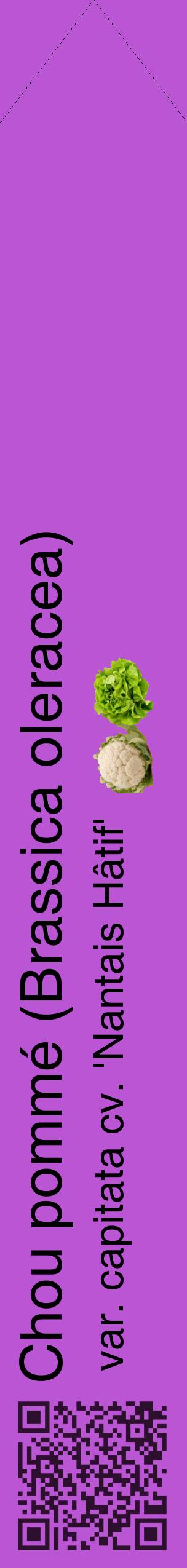Étiquette de : Brassica oleracea var. capitata cv. 'Nantais Hâtif' - format c - style noire50_simplehel avec qrcode et comestibilité simplifiée