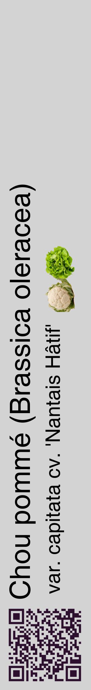 Étiquette de : Brassica oleracea var. capitata cv. 'Nantais Hâtif' - format c - style noire56_basiquehel avec qrcode et comestibilité simplifiée