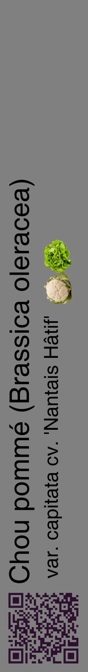 Étiquette de : Brassica oleracea var. capitata cv. 'Nantais Hâtif' - format c - style noire57_basiquehel avec qrcode et comestibilité simplifiée