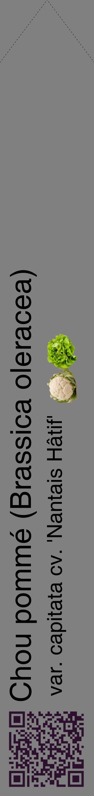 Étiquette de : Brassica oleracea var. capitata cv. 'Nantais Hâtif' - format c - style noire57_simplehel avec qrcode et comestibilité simplifiée