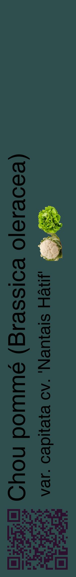 Étiquette de : Brassica oleracea var. capitata cv. 'Nantais Hâtif' - format c - style noire58_basiquehel avec qrcode et comestibilité simplifiée