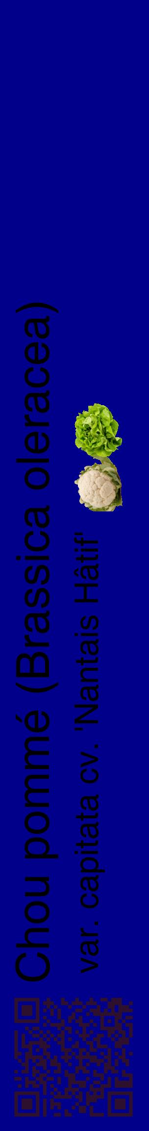 Étiquette de : Brassica oleracea var. capitata cv. 'Nantais Hâtif' - format c - style noire7_basiquehel avec qrcode et comestibilité simplifiée