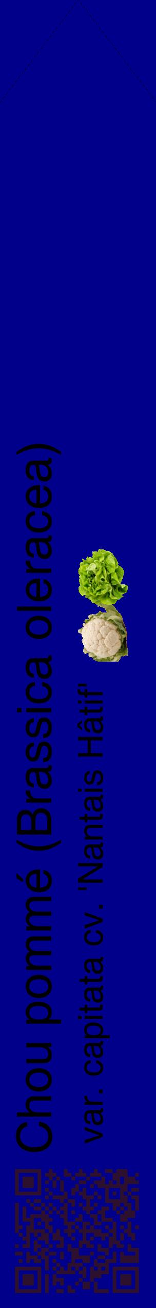 Étiquette de : Brassica oleracea var. capitata cv. 'Nantais Hâtif' - format c - style noire7_simplehel avec qrcode et comestibilité simplifiée