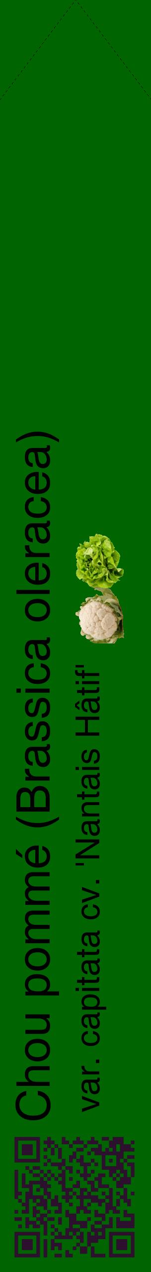 Étiquette de : Brassica oleracea var. capitata cv. 'Nantais Hâtif' - format c - style noire8_simplehel avec qrcode et comestibilité simplifiée