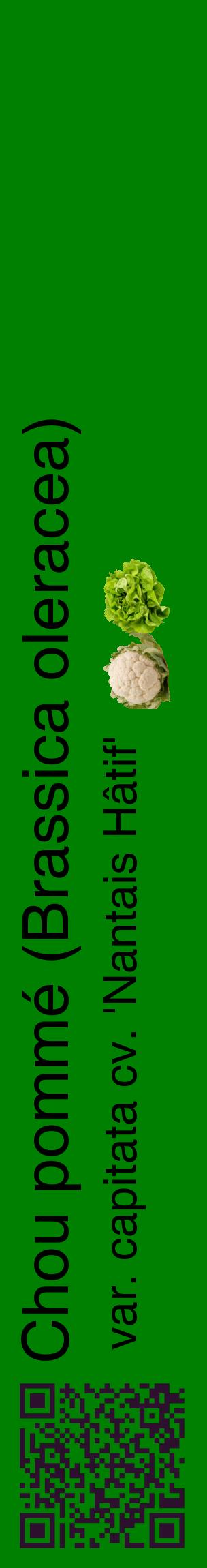 Étiquette de : Brassica oleracea var. capitata cv. 'Nantais Hâtif' - format c - style noire9_basiquehel avec qrcode et comestibilité simplifiée