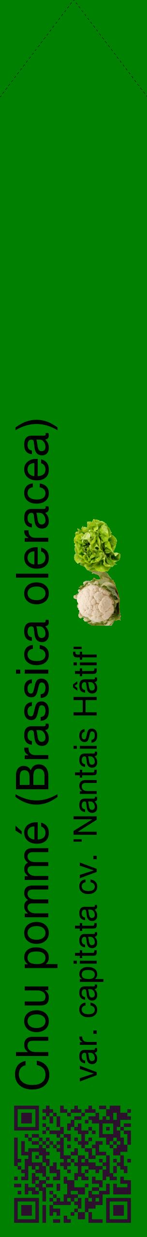 Étiquette de : Brassica oleracea var. capitata cv. 'Nantais Hâtif' - format c - style noire9_simplehel avec qrcode et comestibilité simplifiée